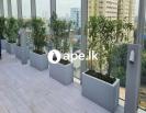 Premium Fiberglass Planters from Urban Industries!
